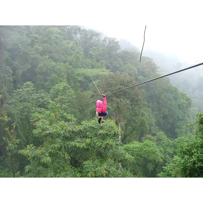 Customized Heavy Jungle Zip Li - огляд і ціна Outdoor Adventure Zipline